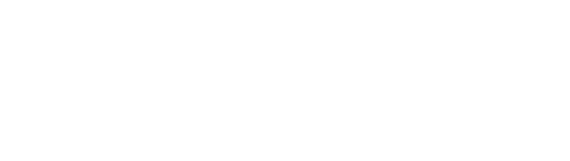 アニスピホールディングスは、社会課題を解決するイシュー・ドリブン・カンパニーである！